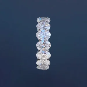 Full Circle Elliptical Band Ring